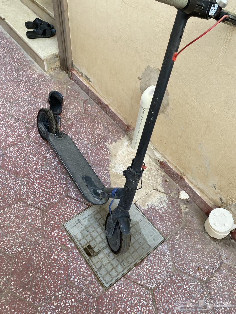 للبيع سكوتر64593313477506110