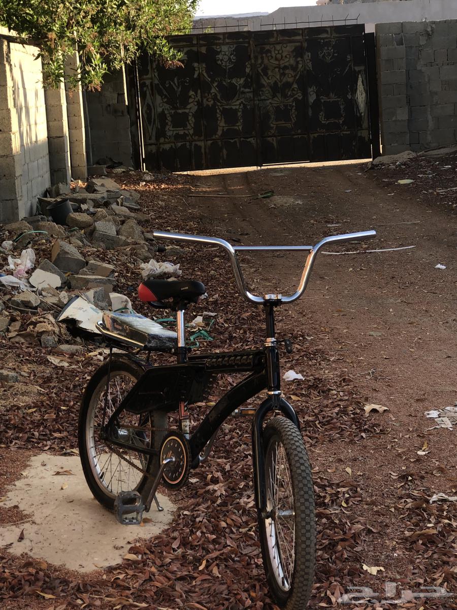 Rambo bicycle64595684847873113