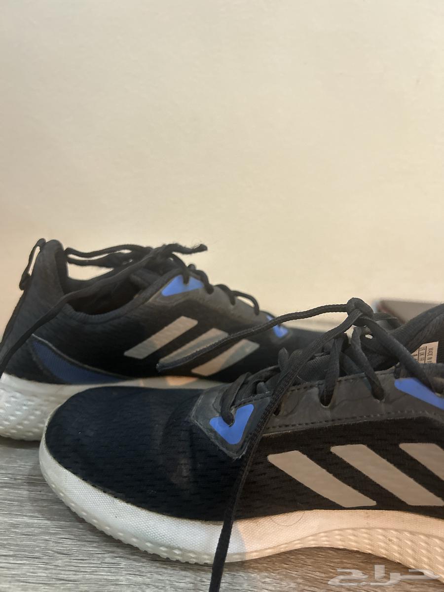 جزمة اديداس اصلية64593974337793111