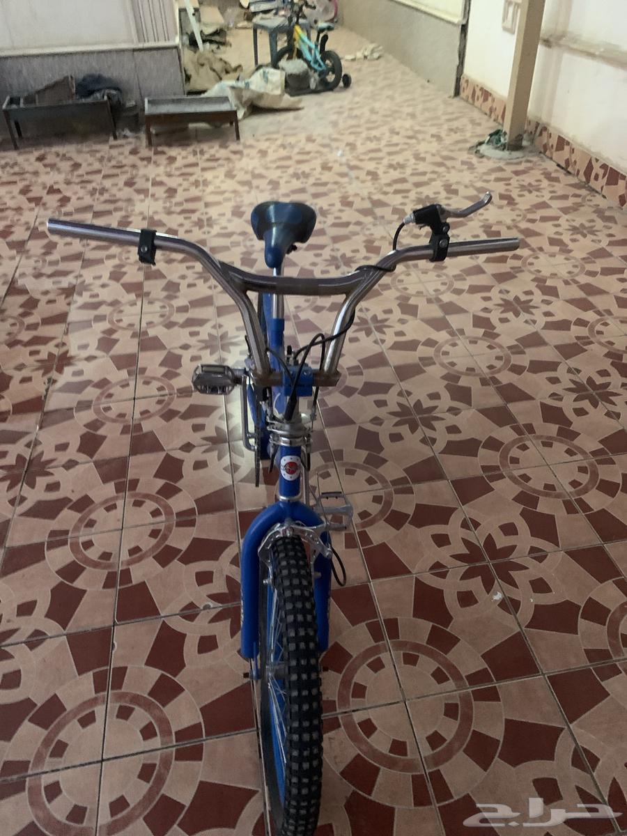 سيكل كوبرا نظيف64593900532865111