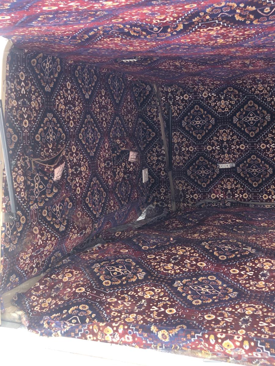 Shad Shas64593071132675114