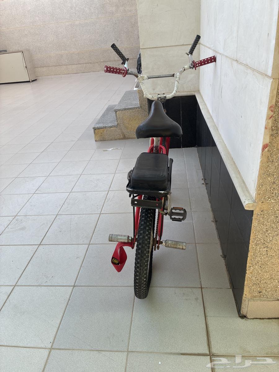 Clean red Rambo64592408331778111