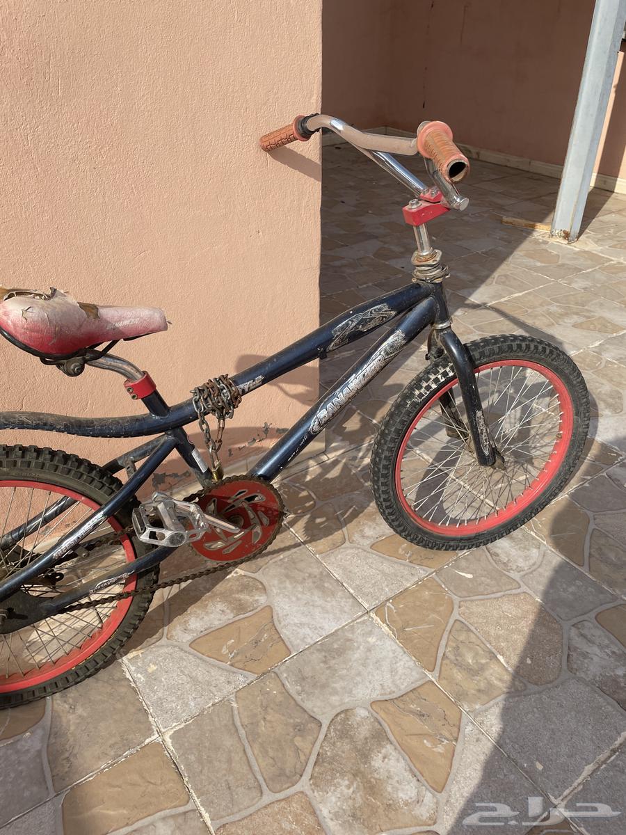 كوبرا للبيع   تحتاج صيانة بسيطة64592516689409112