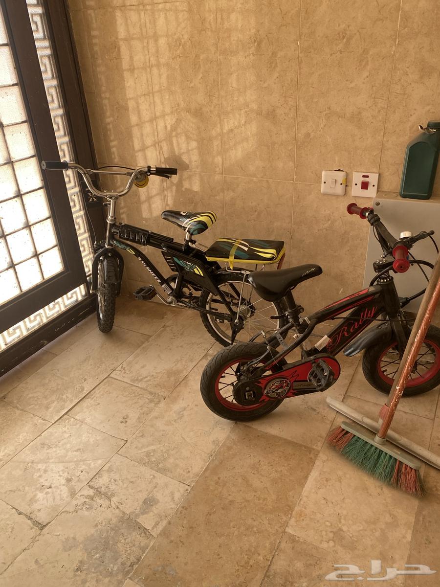 سيكلين لبيع64590874056706110