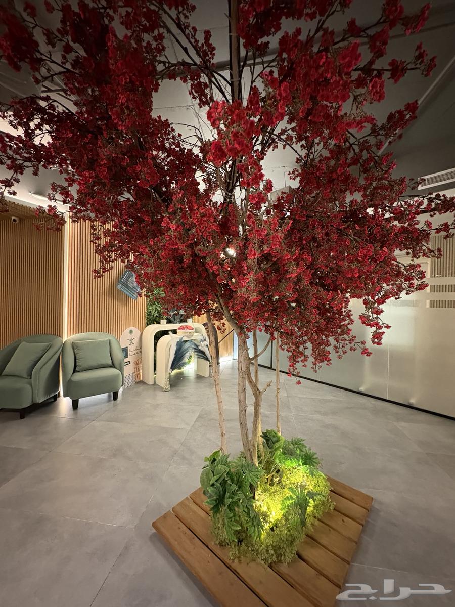 Decorative Tree64595956205569110