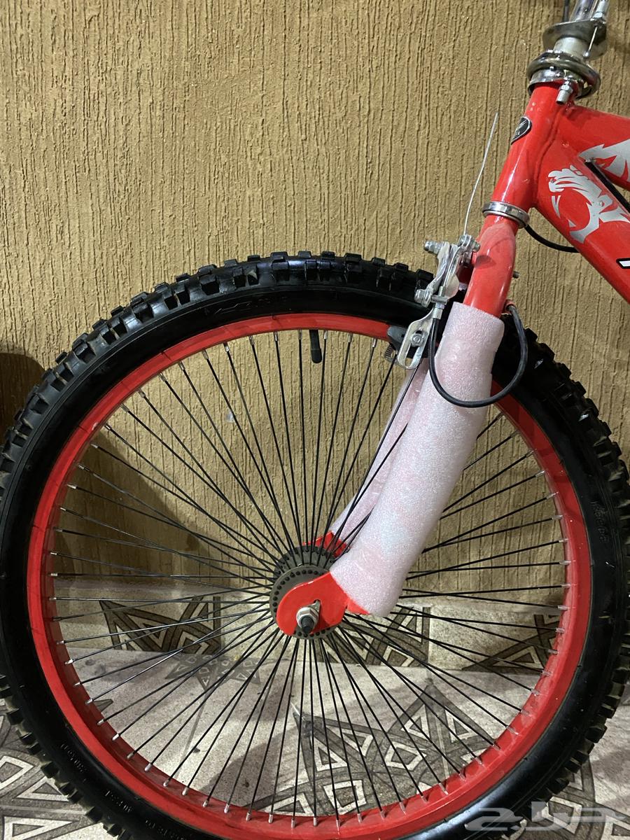 دراجة كوبرا مقاس2464595931577858111