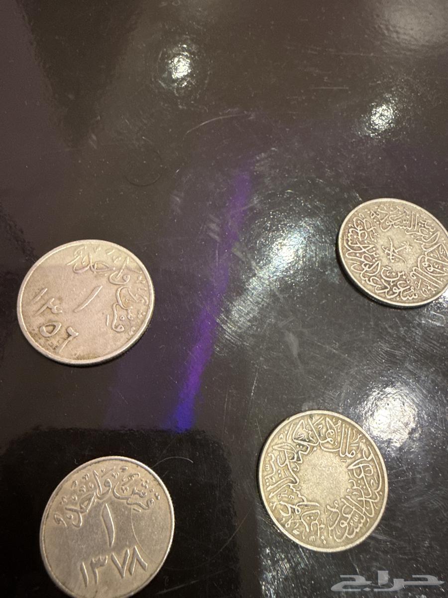 قرش قديم جدا64588569691266111