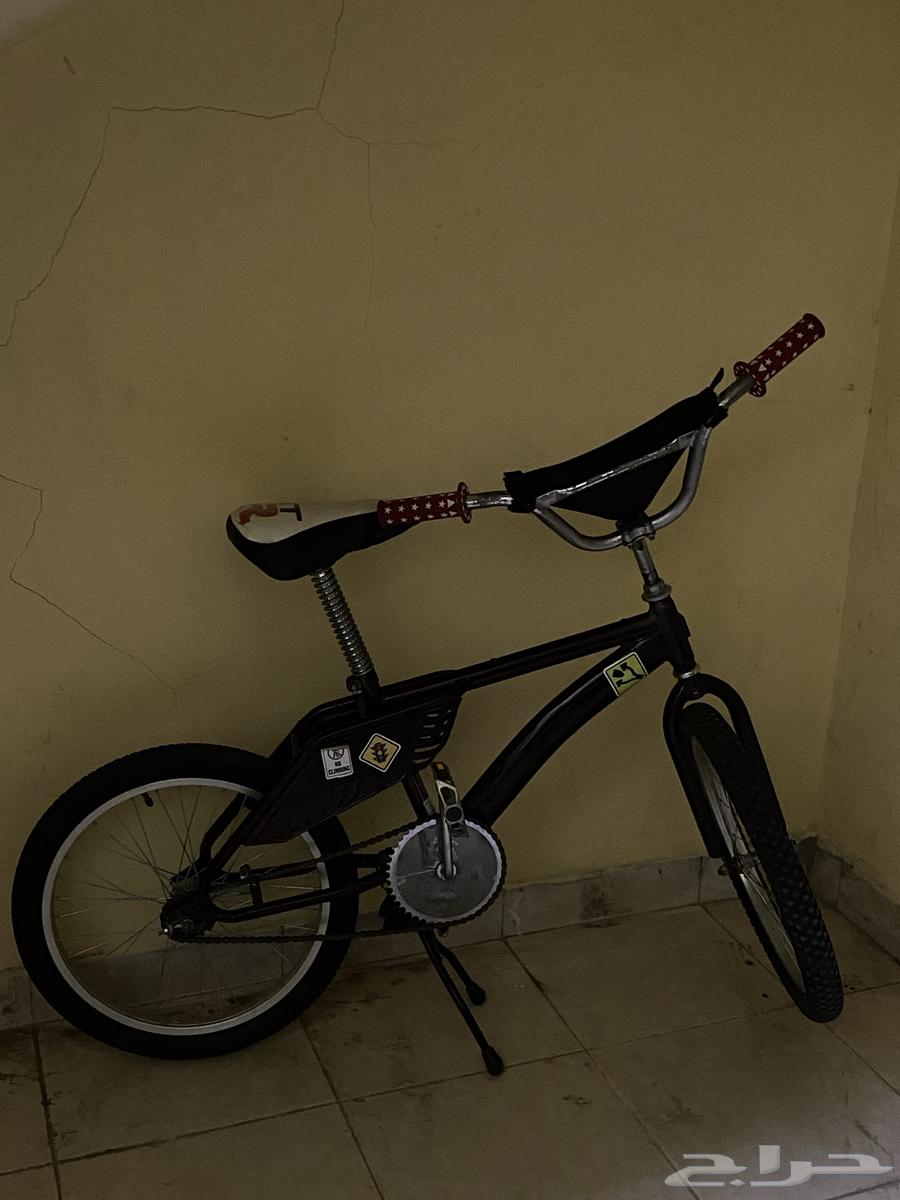 رامبو أندنوسي64593937602689110