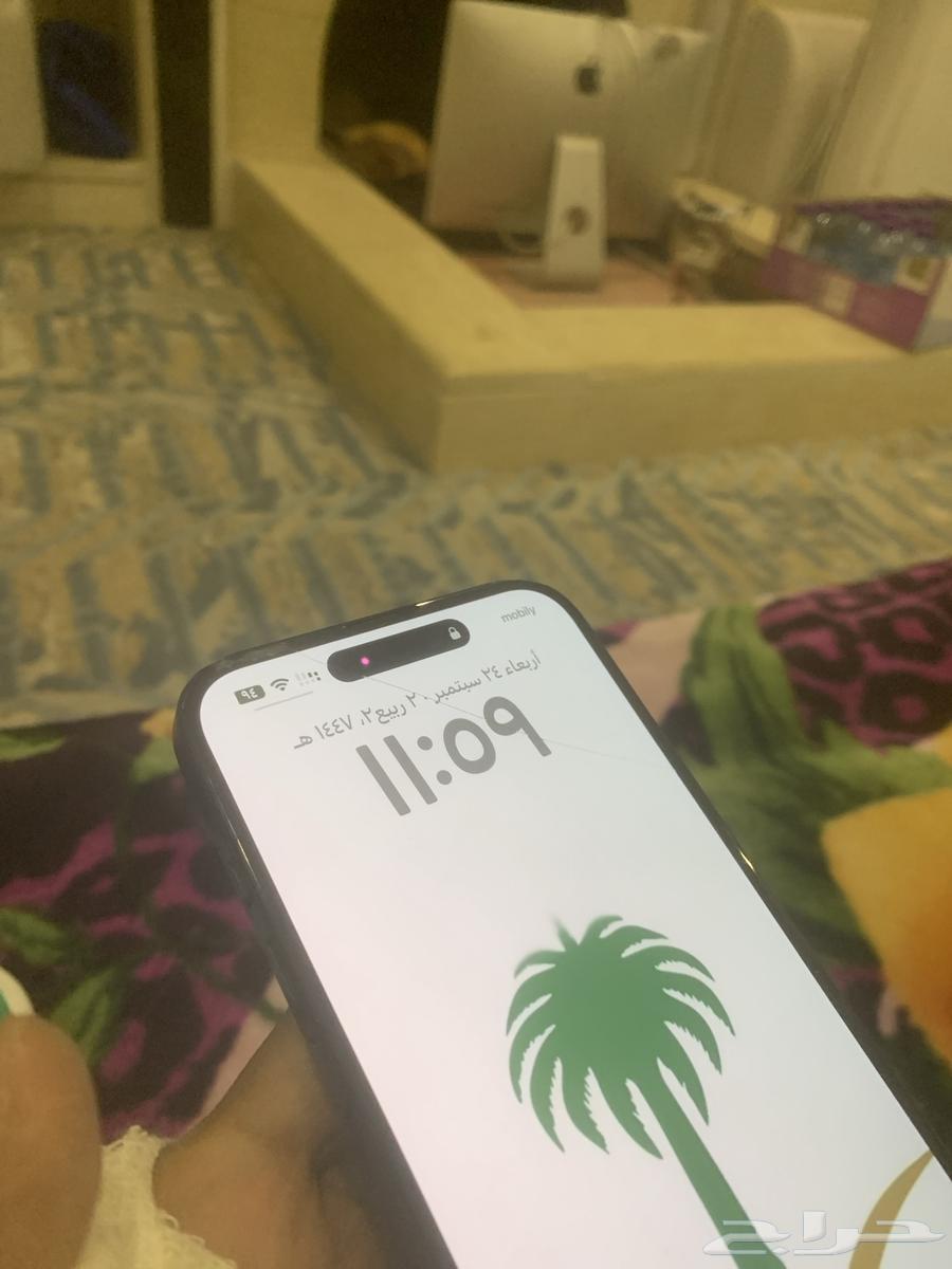 ايفون 16 بلس 256 قيقا بطارية 10064588211302145111