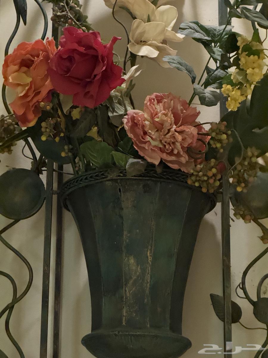 تحفة جدارية من حدائق السلطان64592396325379111