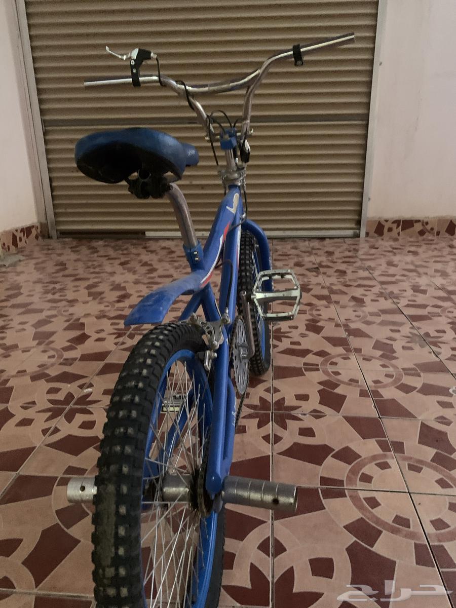 سيكل كوبرا نظيف64593900532865113