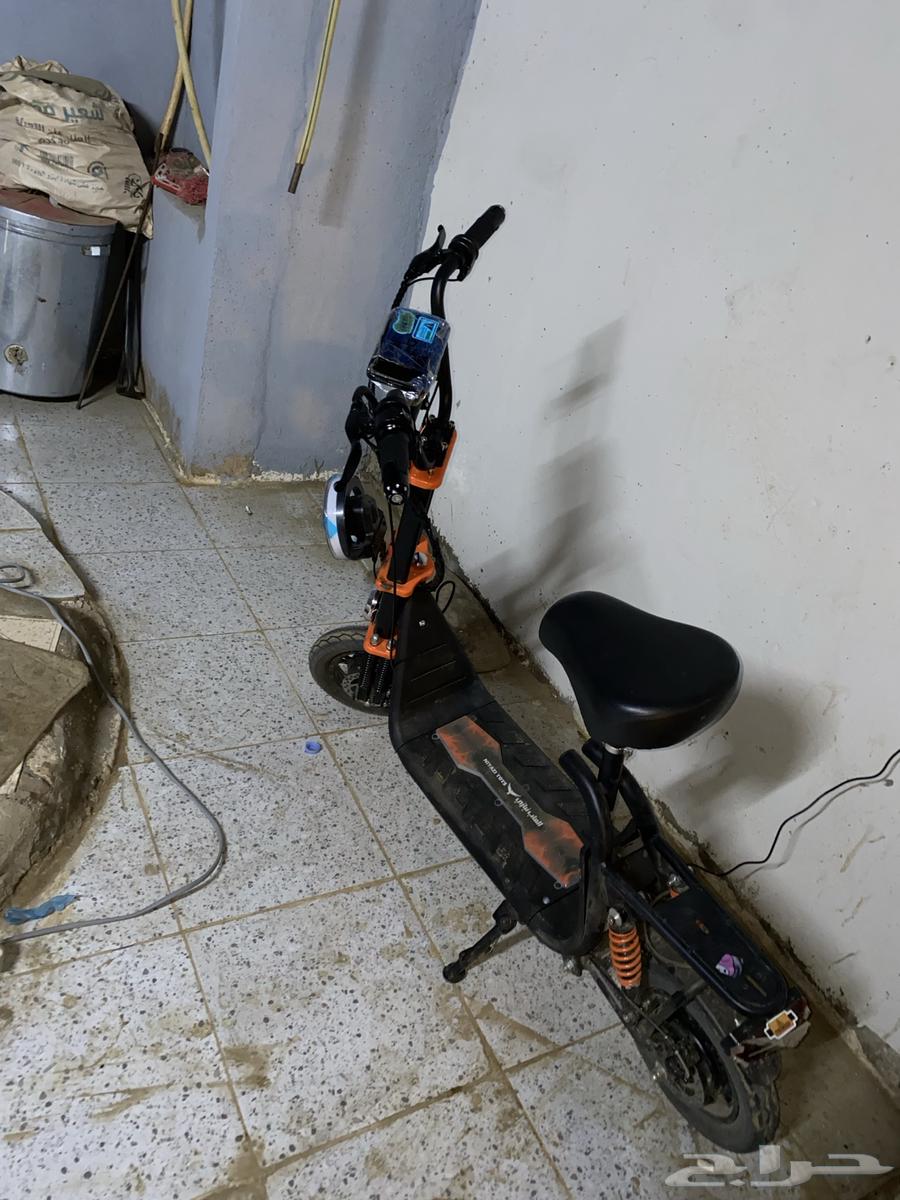 His brother's new scooter, almost a week old, dual dynamo64589450876673113