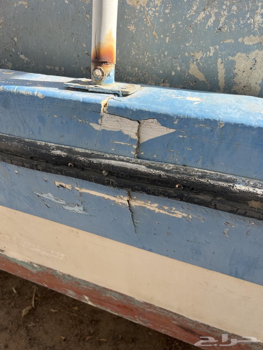 لنش ( الضاعن ) طبقتين بدون أوراق ب 2500 ريال64592757495809110