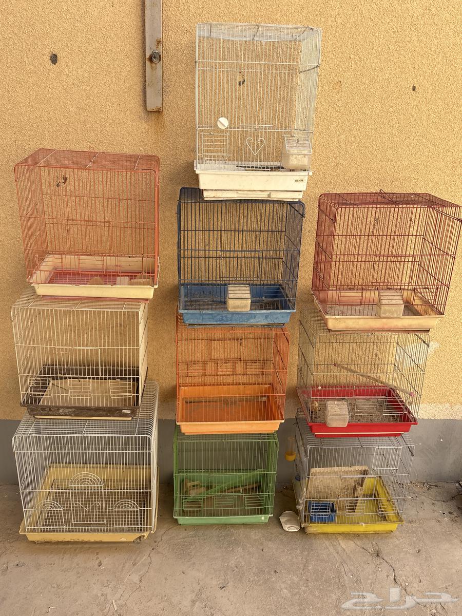 10 اقفاص للبيع بحالته64590323125762111