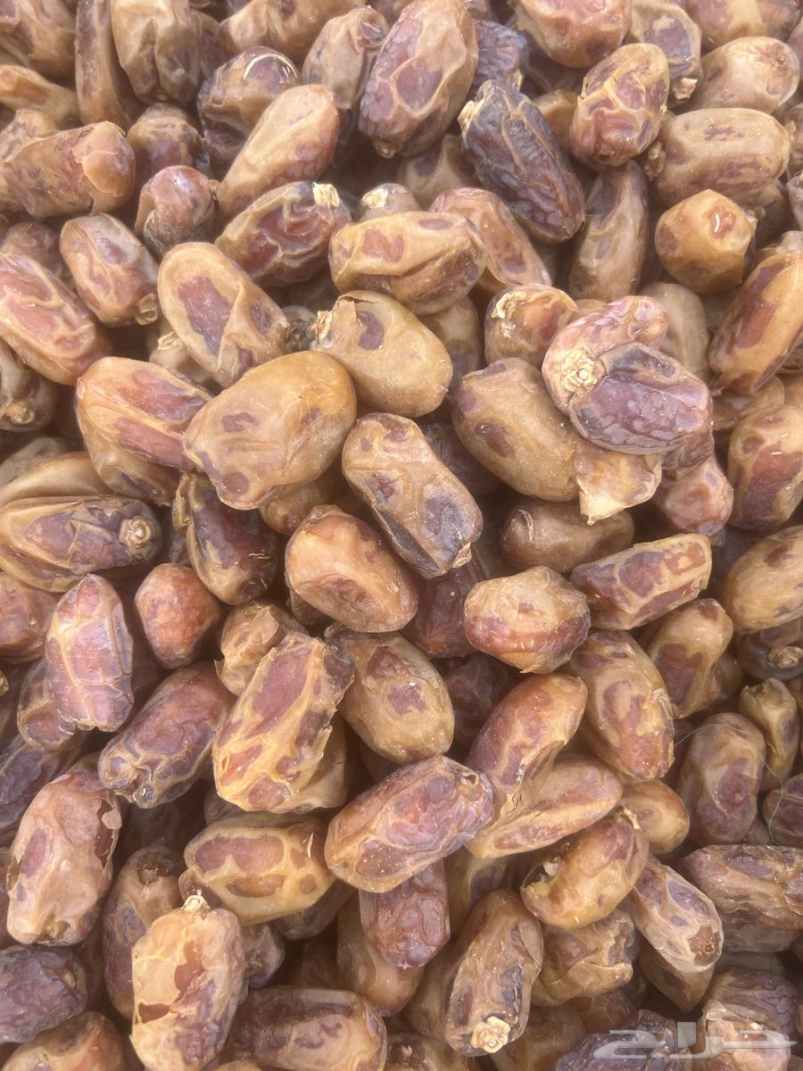 For sale 100 cartons of Al-Aflaj Khalas, 3.5 Riyals per kilo64589755458051111