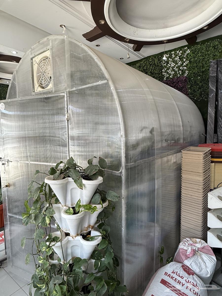 طريق ابي بكر الصديق64590545743619113