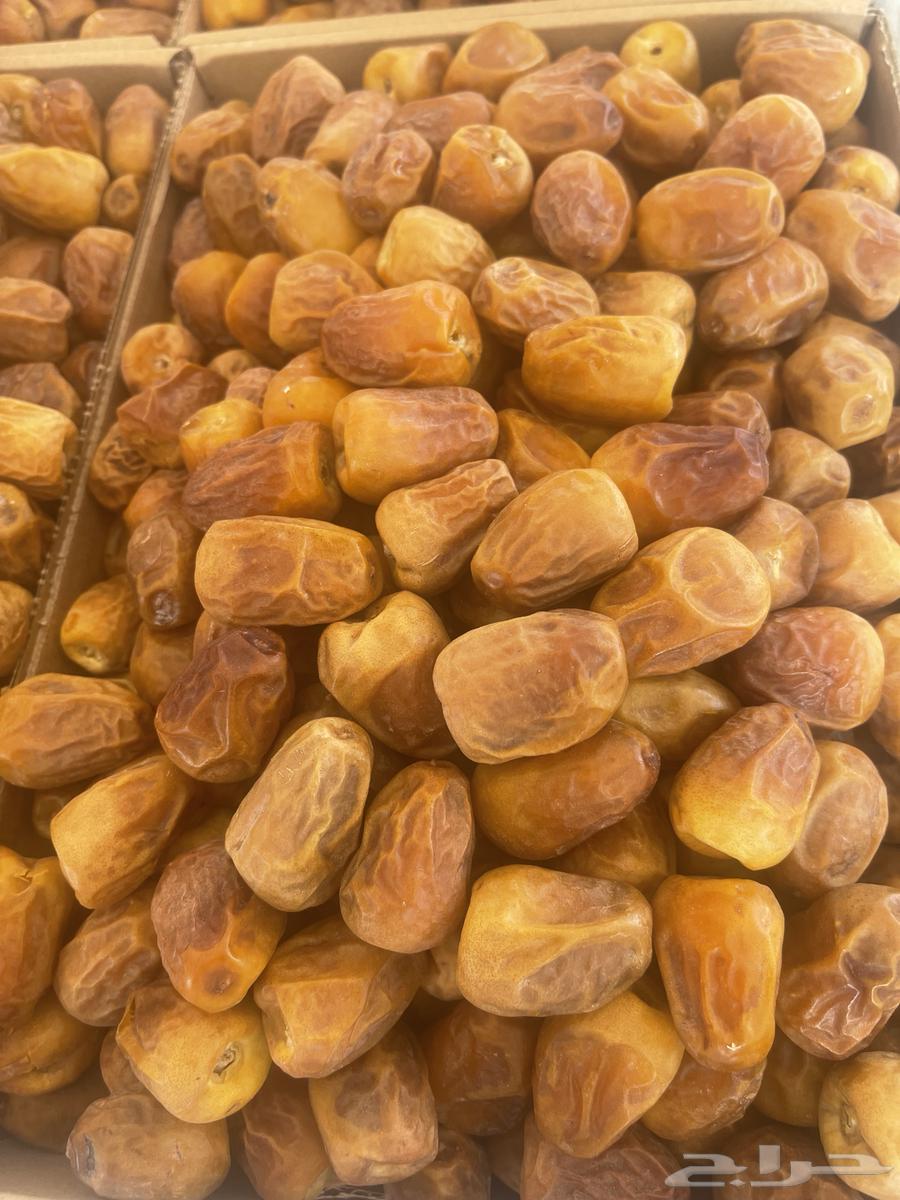 تمر مقتل نضيف وشرط مجاء كميوي64592588853121111