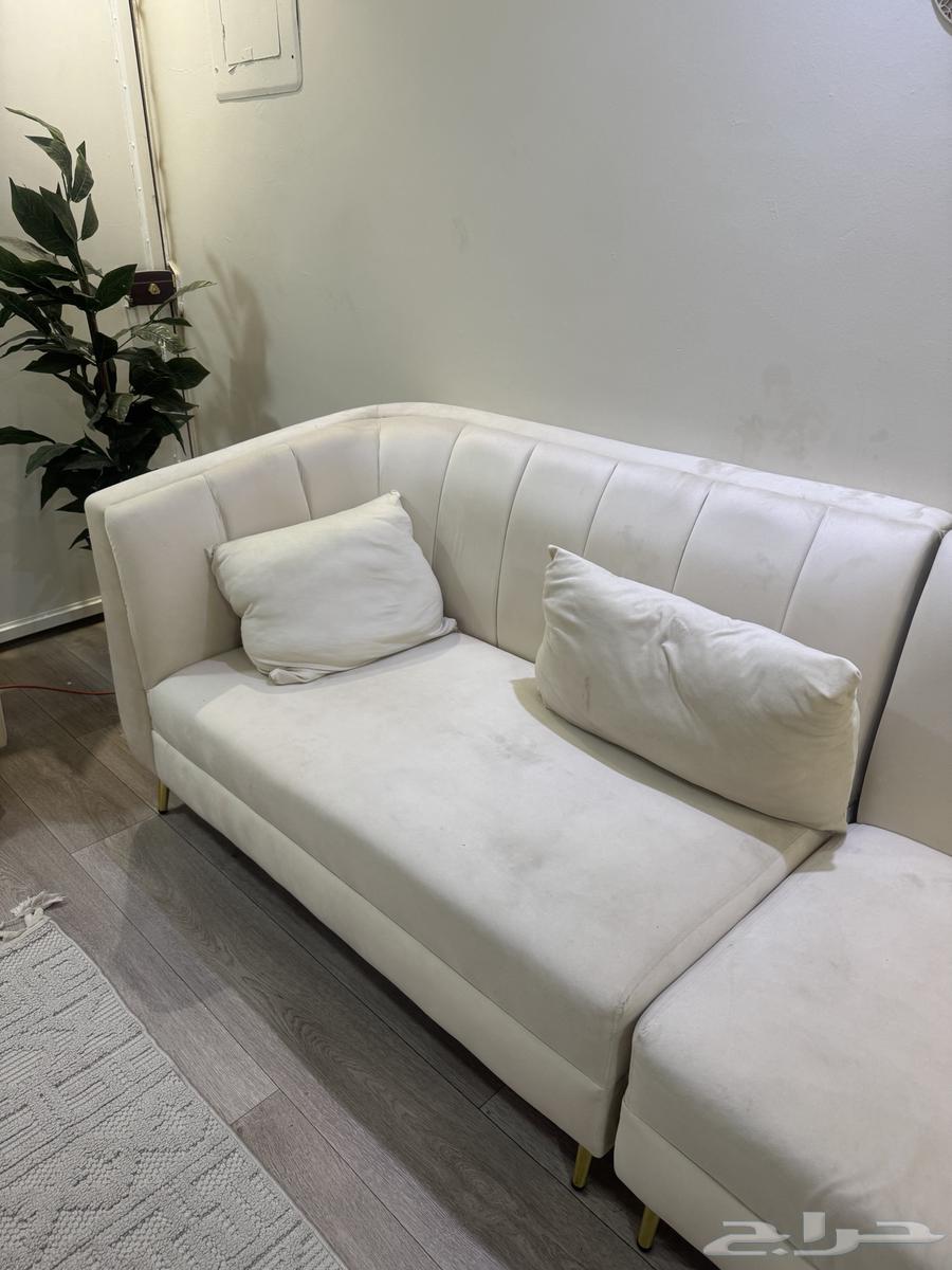 كنب للبيع64590274862721114