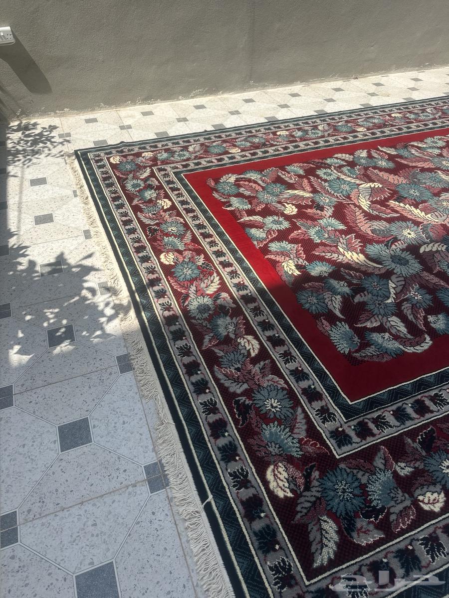 زولية بلجيكي قديم64590789309953114