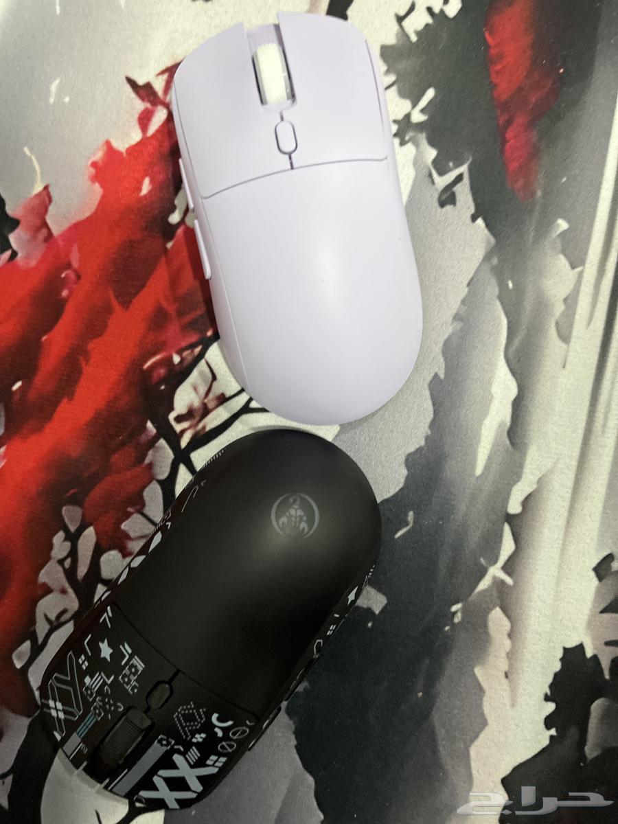 Mice and Keyboard64589657801986111