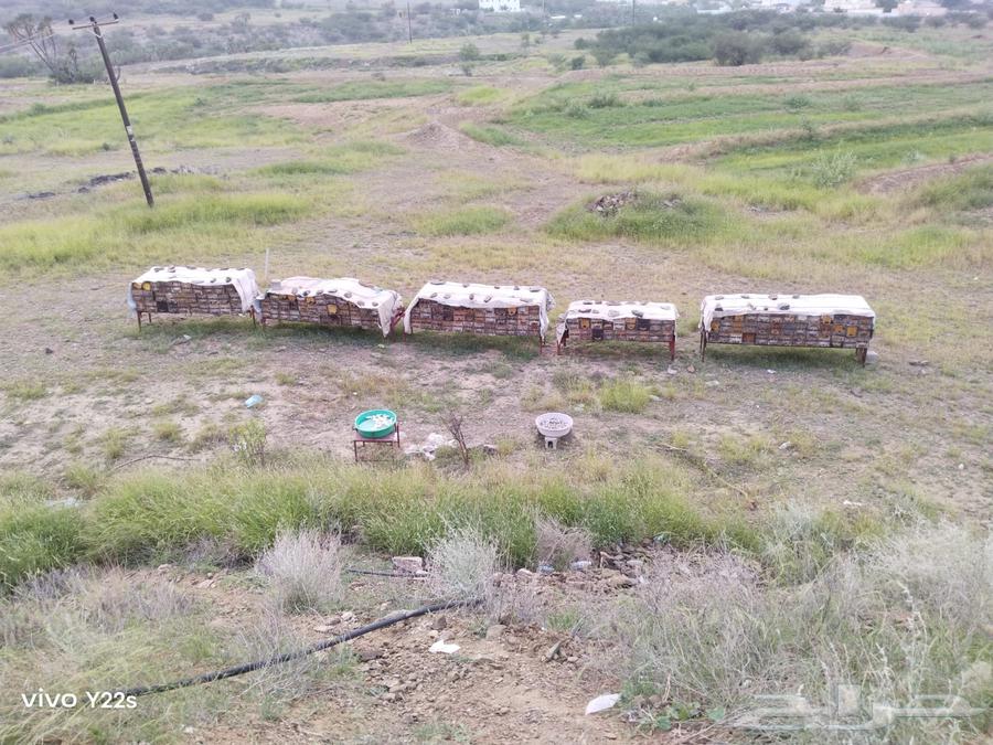 للبيع64593558716291110