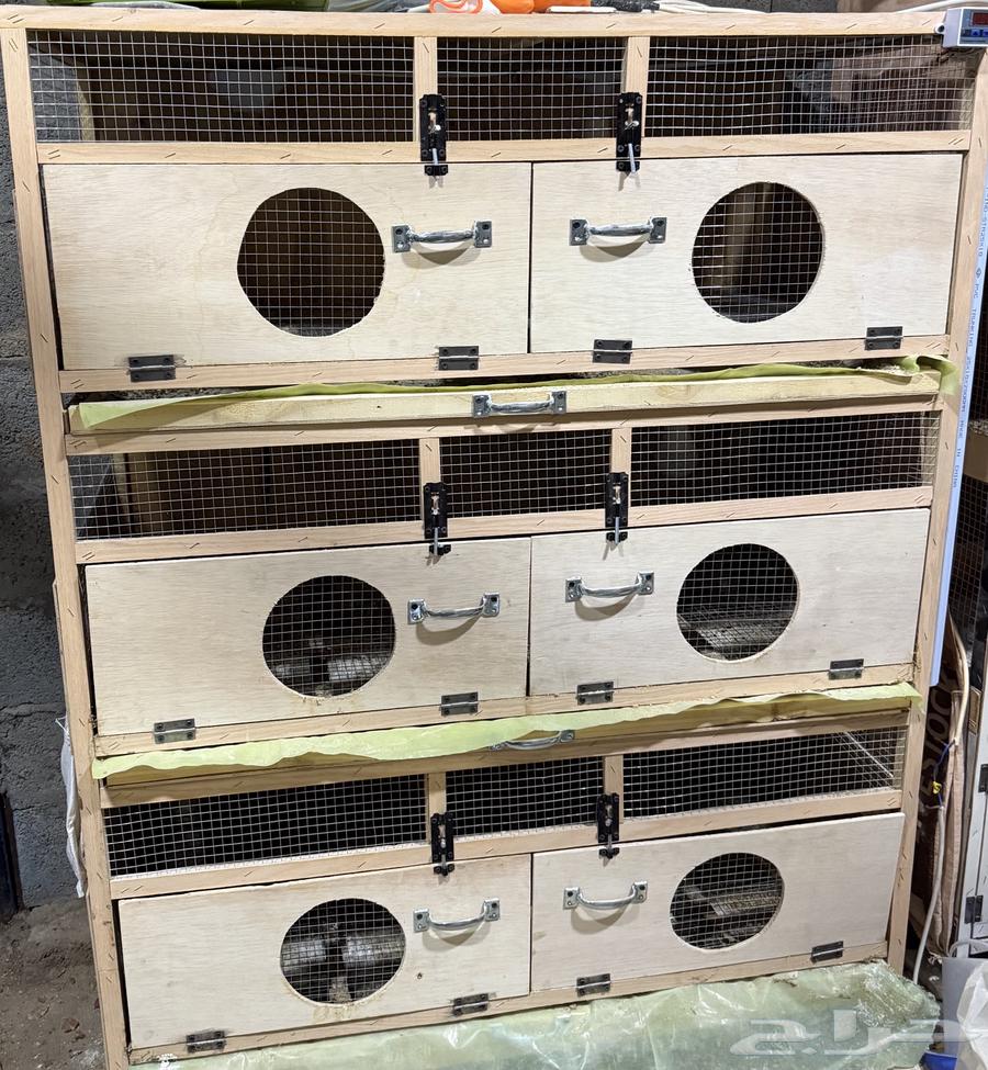 حضانه اتوماتيك للبيع64595218246017110