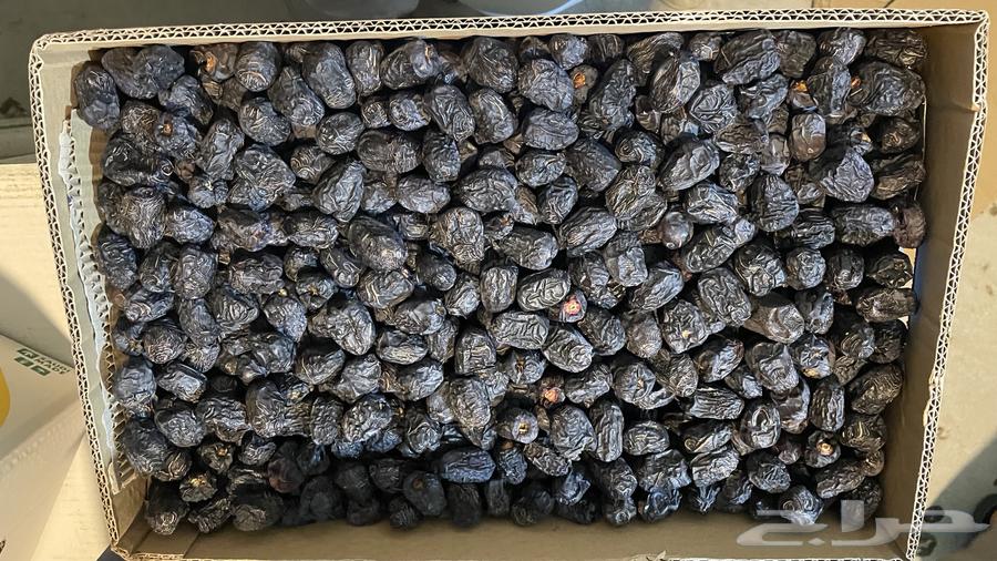 تمر عجوة المدينة المنورة64589376842371110