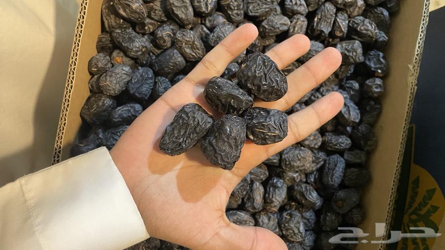 تمر عجوة المدينة المنورة64589376842371113