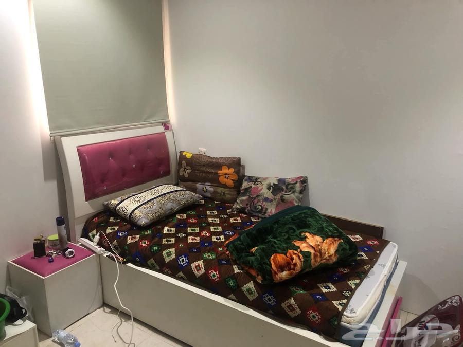 حي قرطبة شارع ابن مقله64594850113538110