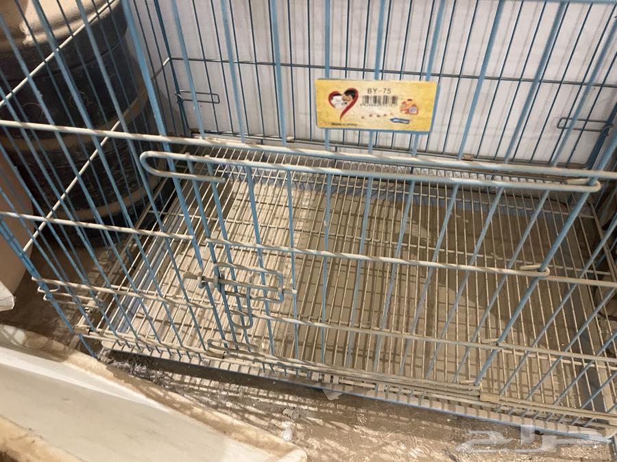 قفص قطط-كلاب للبيع مقاس كبير64596440305539112