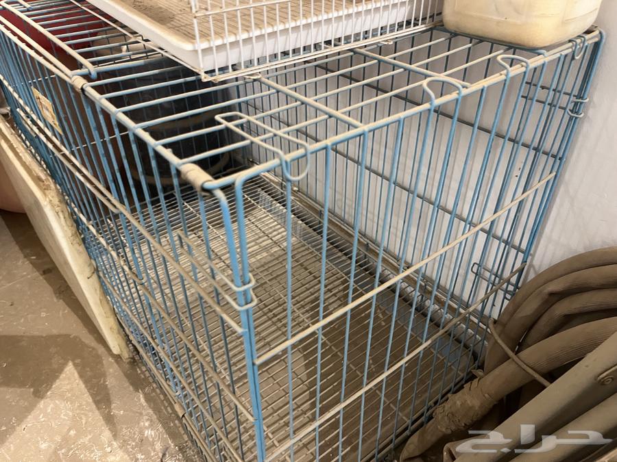 قفص قطط-كلاب للبيع مقاس كبير64596440305539110