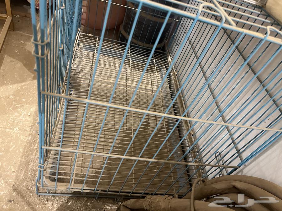 قفص قطط-كلاب للبيع مقاس كبير64596440305539111