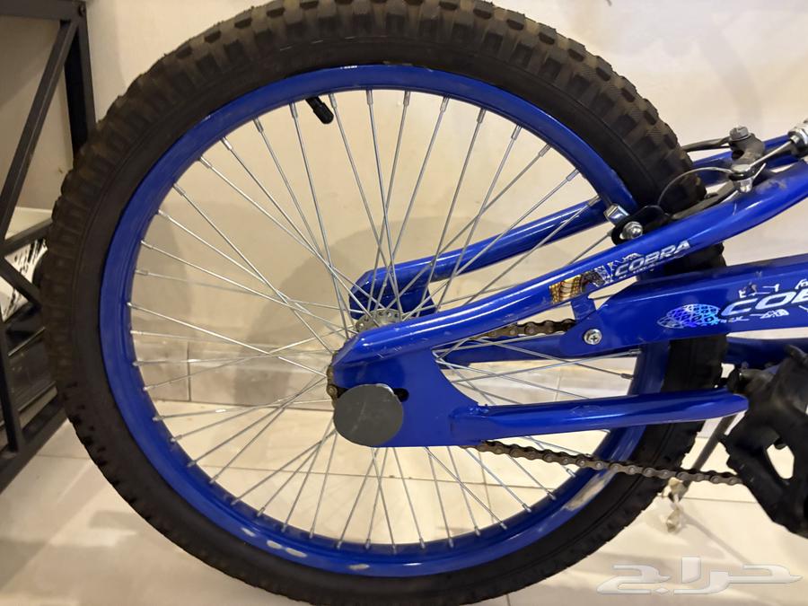 سيكل كوبرا ازرق64595107953411112