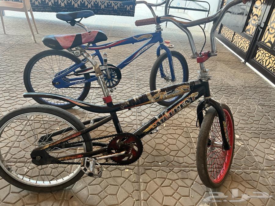 سياكل كوبرا مقاس 2064591202059522111