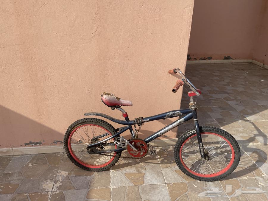 كوبرا للبيع   تحتاج صيانة بسيطة64592516689409110