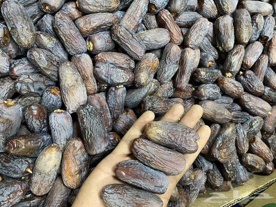 Organic Ajwa Dates64588310389123114