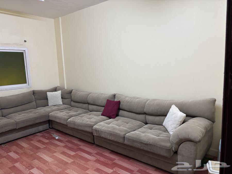 ركنه أمريكي بحالة جيده64594356738819113