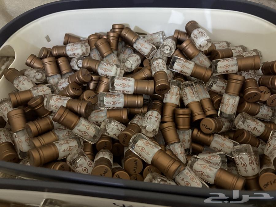 Tolat Musk is one of the best64591141660547110