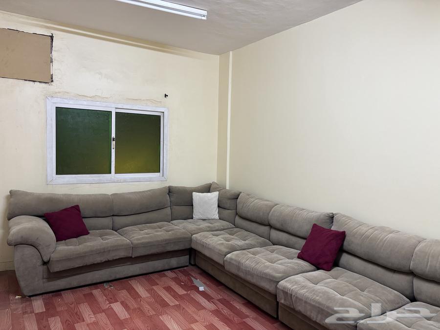 ركنه أمريكي بحالة جيده64594356738819112