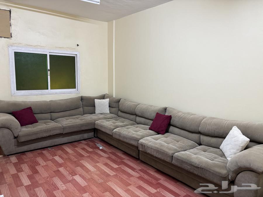 ركنه أمريكي بحالة جيده64594356738819111