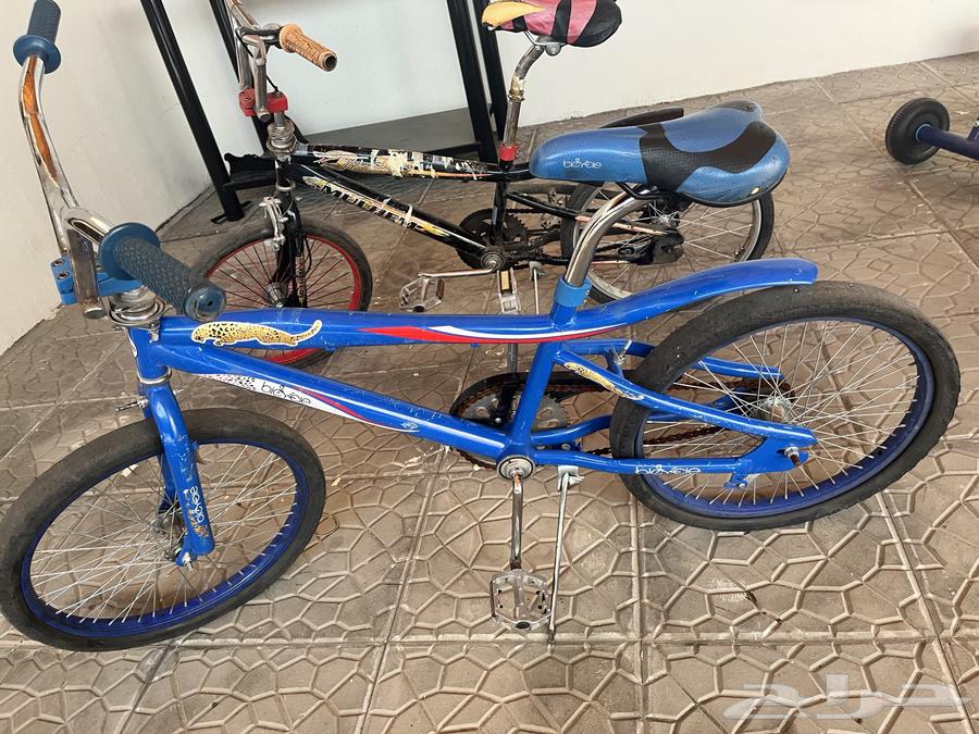 سياكل كوبرا مقاس 2064591202059522113