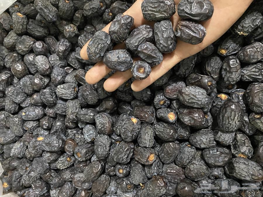 Organic Ajwa Dates64588310389123111