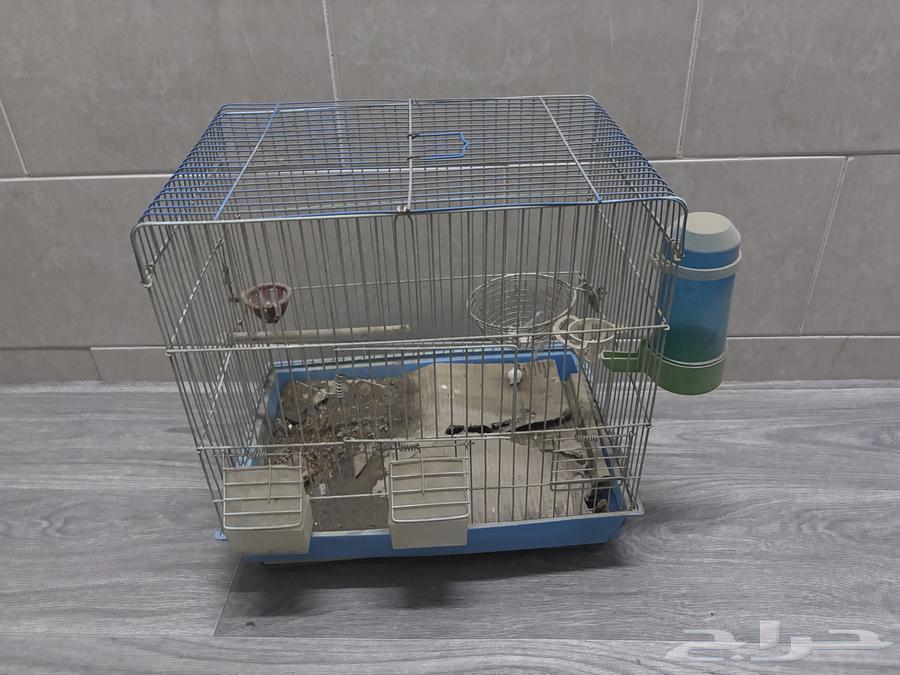 أقفاص عصافير للبيع64588359664642111