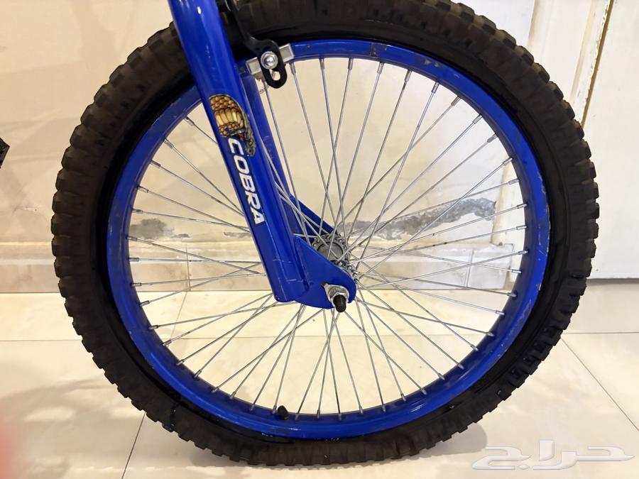 سيكل كوبرا ازرق64595107953411114