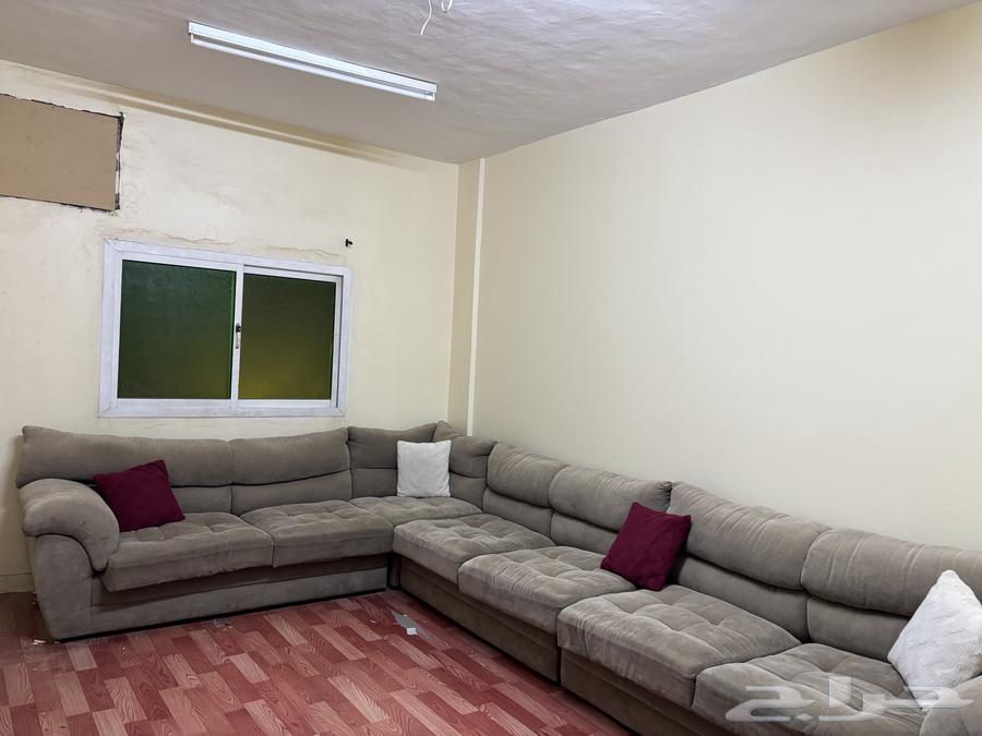 ركنه أمريكي بحالة جيده64594356738819110