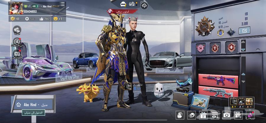 PUBG Developer Account Level 8364595501938818113