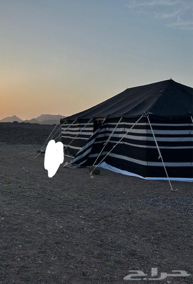 بيت شعر 9 8 شبه جديد64588644384259111