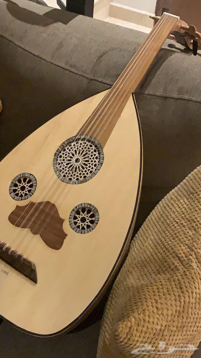 عود مصري64594134562306110