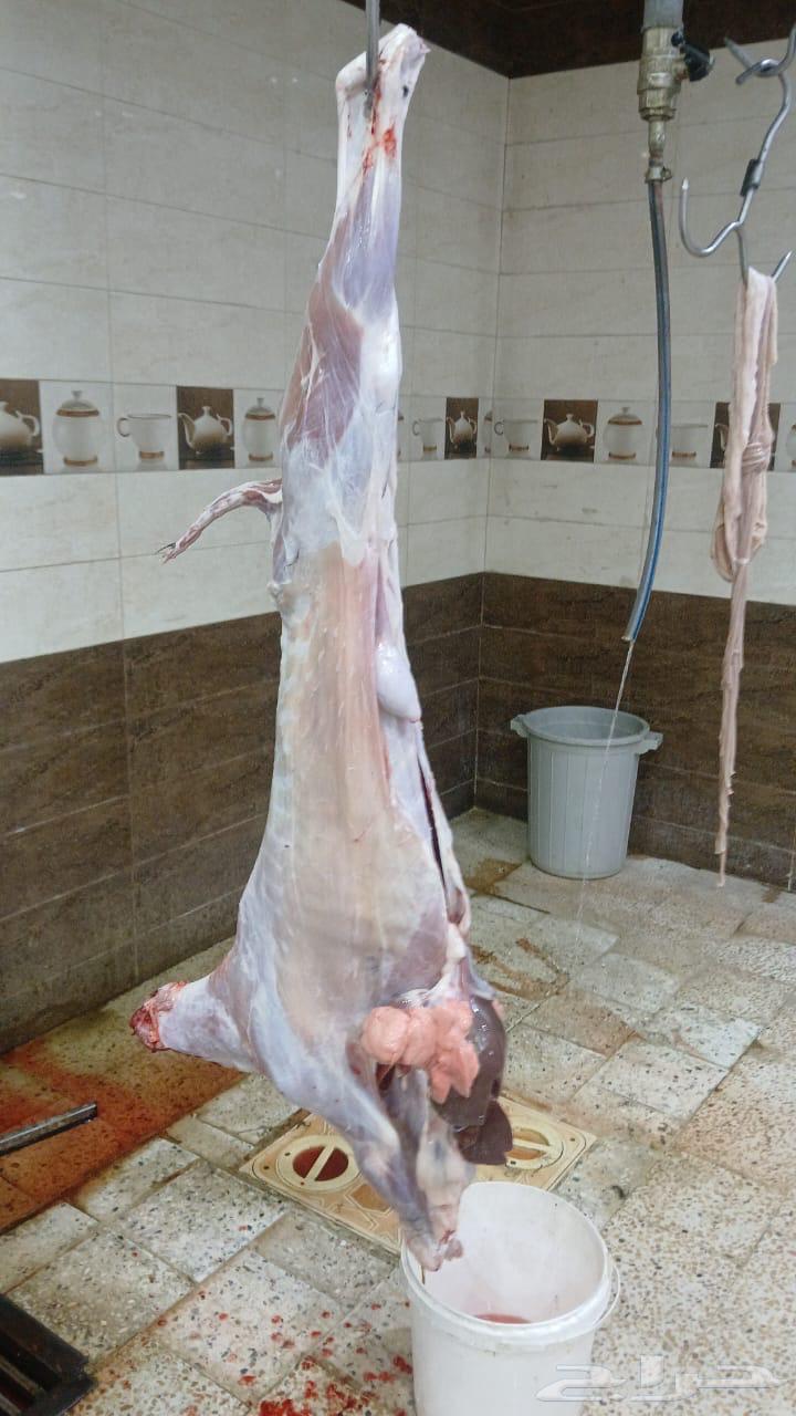 ذبائح للبيع64594466934275111