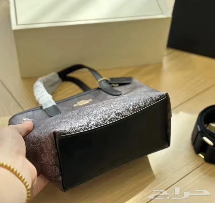 كوتش ميني64595341789059113